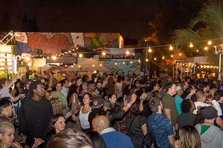 9th Annual Everglades Awareness Benefit